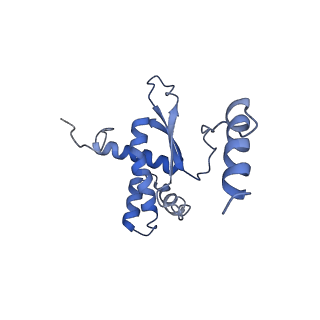 2914_5aj4_BR_v2-2
Structure of the 55S mammalian mitoribosome.