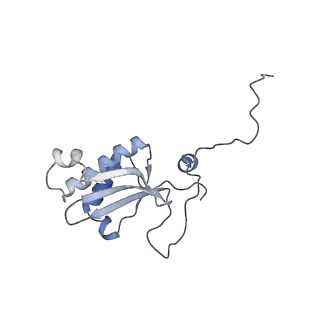2914_5aj4_BS_v1-2
Structure of the 55S mammalian mitoribosome.