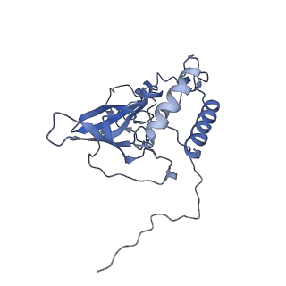 2914_5aj4_BT_v1-2
Structure of the 55S mammalian mitoribosome.