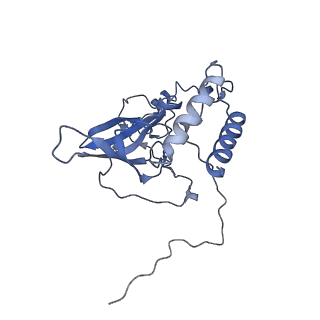 2914_5aj4_BT_v2-2
Structure of the 55S mammalian mitoribosome.