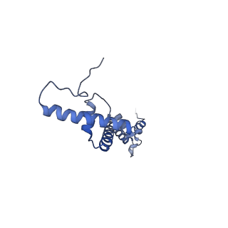 2914_5aj4_BU_v1-2
Structure of the 55S mammalian mitoribosome.