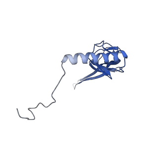 2914_5aj4_BV_v1-2
Structure of the 55S mammalian mitoribosome.