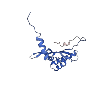 2914_5aj4_BW_v1-2
Structure of the 55S mammalian mitoribosome.