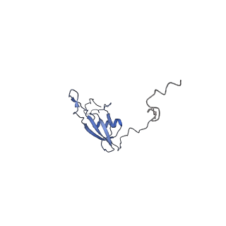 2914_5aj4_BX_v1-2
Structure of the 55S mammalian mitoribosome.