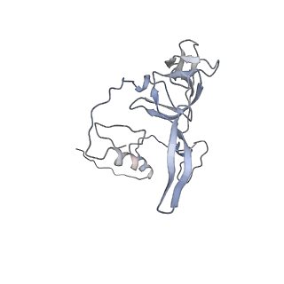 2914_5aj4_BY_v1-2
Structure of the 55S mammalian mitoribosome.