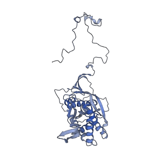 2914_5aj4_Ba_v1-2
Structure of the 55S mammalian mitoribosome.