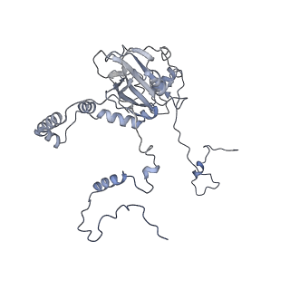 2914_5aj4_Bb_v2-2
Structure of the 55S mammalian mitoribosome.