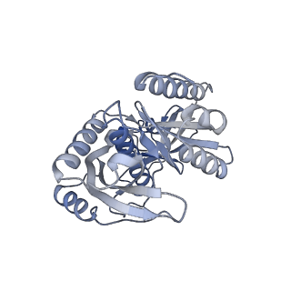 2914_5aj4_Bc_v1-2
Structure of the 55S mammalian mitoribosome.