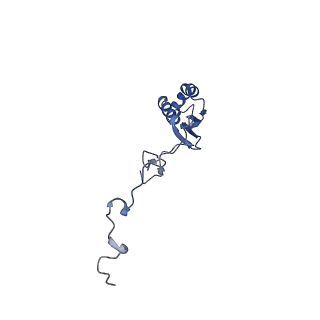 2914_5aj4_Bg_v1-2
Structure of the 55S mammalian mitoribosome.