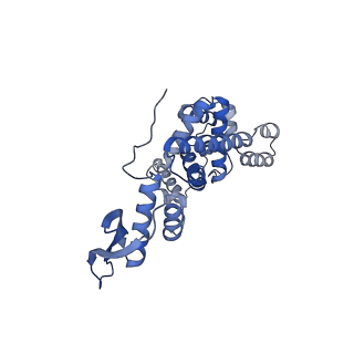 2914_5aj4_Bh_v1-2
Structure of the 55S mammalian mitoribosome.