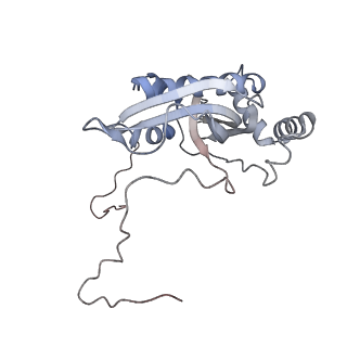 2914_5aj4_Bi_v1-2
Structure of the 55S mammalian mitoribosome.