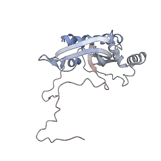 2914_5aj4_Bi_v2-2
Structure of the 55S mammalian mitoribosome.