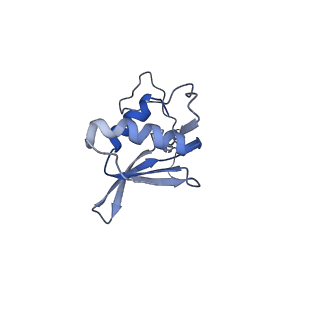 2914_5aj4_Bl_v1-2
Structure of the 55S mammalian mitoribosome.