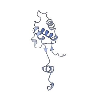 2914_5aj4_Bm_v1-2
Structure of the 55S mammalian mitoribosome.