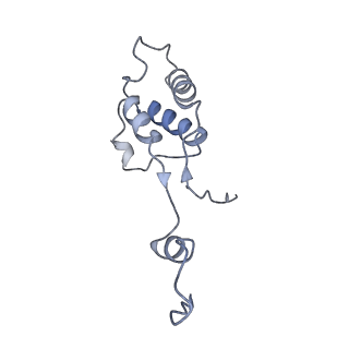 2914_5aj4_Bm_v2-2
Structure of the 55S mammalian mitoribosome.