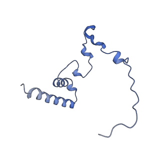 2914_5aj4_Bn_v1-2
Structure of the 55S mammalian mitoribosome.