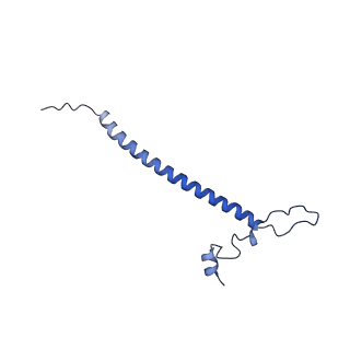 2914_5aj4_Bo_v1-2
Structure of the 55S mammalian mitoribosome.