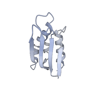 2914_5aj4_Bp_v1-2
Structure of the 55S mammalian mitoribosome.