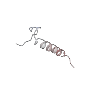 2914_5aj4_Bq_v1-2
Structure of the 55S mammalian mitoribosome.