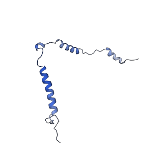 2914_5aj4_Bt_v1-2
Structure of the 55S mammalian mitoribosome.