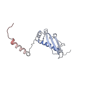 2914_5aj4_Bu_v1-2
Structure of the 55S mammalian mitoribosome.