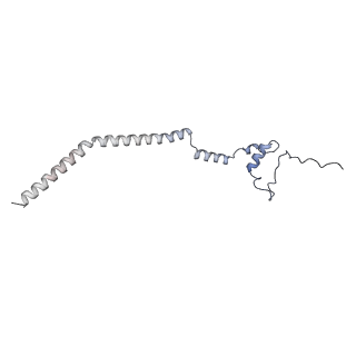 2914_5aj4_Bv_v1-2
Structure of the 55S mammalian mitoribosome.