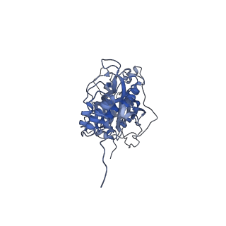 2914_5aj4_Bw_v1-2
Structure of the 55S mammalian mitoribosome.