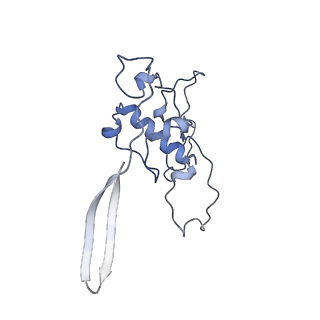 2914_5aj4_Bx_v1-2
Structure of the 55S mammalian mitoribosome.