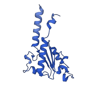 11810_7ak5_B_v1-1
Cryo-EM structure of respiratory complex I in the deactive state from Mus musculus at 3.2 A