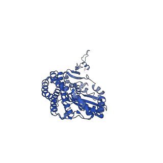 11810_7ak5_D_v1-1
Cryo-EM structure of respiratory complex I in the deactive state from Mus musculus at 3.2 A