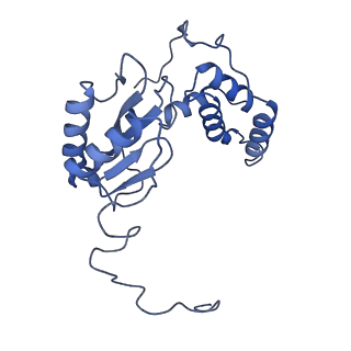 11810_7ak5_E_v1-1
Cryo-EM structure of respiratory complex I in the deactive state from Mus musculus at 3.2 A