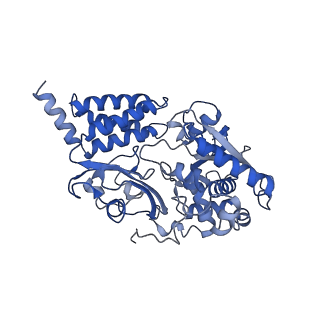 11810_7ak5_F_v1-1
Cryo-EM structure of respiratory complex I in the deactive state from Mus musculus at 3.2 A