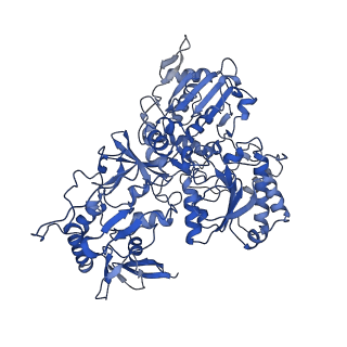 11810_7ak5_G_v1-1
Cryo-EM structure of respiratory complex I in the deactive state from Mus musculus at 3.2 A