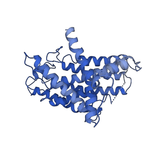 11810_7ak5_H_v1-1
Cryo-EM structure of respiratory complex I in the deactive state from Mus musculus at 3.2 A
