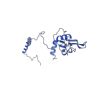 11810_7ak5_I_v1-1
Cryo-EM structure of respiratory complex I in the deactive state from Mus musculus at 3.2 A