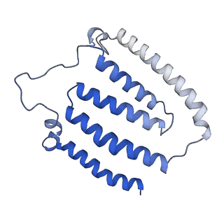 11810_7ak5_J_v1-1
Cryo-EM structure of respiratory complex I in the deactive state from Mus musculus at 3.2 A