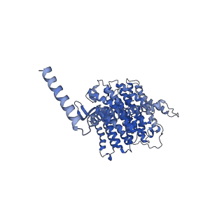 11810_7ak5_L_v1-1
Cryo-EM structure of respiratory complex I in the deactive state from Mus musculus at 3.2 A