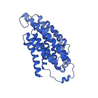 11810_7ak5_N_v1-1
Cryo-EM structure of respiratory complex I in the deactive state from Mus musculus at 3.2 A