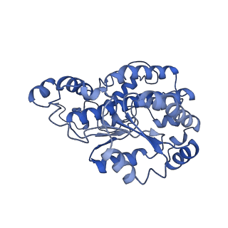 11810_7ak5_O_v1-1
Cryo-EM structure of respiratory complex I in the deactive state from Mus musculus at 3.2 A