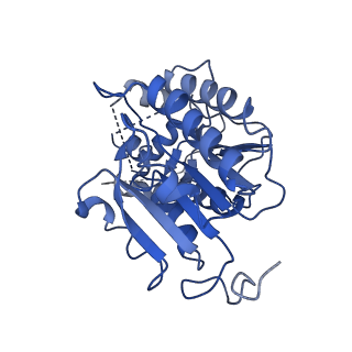 11810_7ak5_P_v1-1
Cryo-EM structure of respiratory complex I in the deactive state from Mus musculus at 3.2 A