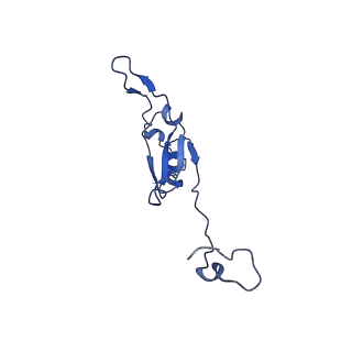 11810_7ak5_Q_v1-1
Cryo-EM structure of respiratory complex I in the deactive state from Mus musculus at 3.2 A