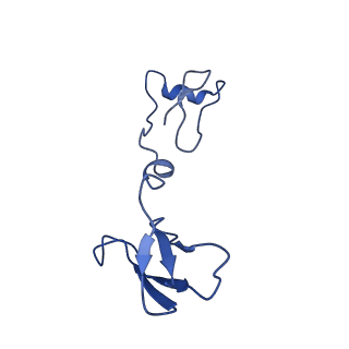 11810_7ak5_R_v1-1
Cryo-EM structure of respiratory complex I in the deactive state from Mus musculus at 3.2 A