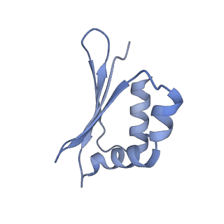 11810_7ak5_S_v1-1
Cryo-EM structure of respiratory complex I in the deactive state from Mus musculus at 3.2 A