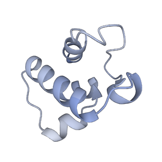 11810_7ak5_T_v1-1
Cryo-EM structure of respiratory complex I in the deactive state from Mus musculus at 3.2 A