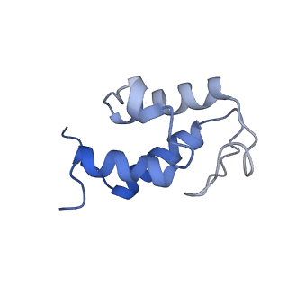 11810_7ak5_U_v1-1
Cryo-EM structure of respiratory complex I in the deactive state from Mus musculus at 3.2 A