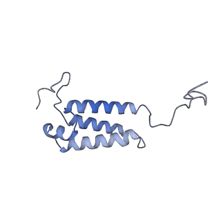11810_7ak5_V_v1-1
Cryo-EM structure of respiratory complex I in the deactive state from Mus musculus at 3.2 A