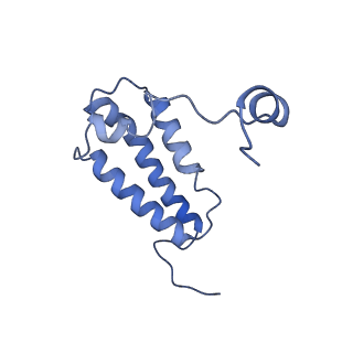 11810_7ak5_W_v1-1
Cryo-EM structure of respiratory complex I in the deactive state from Mus musculus at 3.2 A