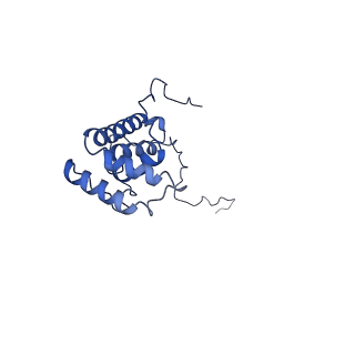 11810_7ak5_X_v1-1
Cryo-EM structure of respiratory complex I in the deactive state from Mus musculus at 3.2 A