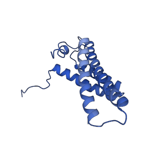 11810_7ak5_Y_v1-1
Cryo-EM structure of respiratory complex I in the deactive state from Mus musculus at 3.2 A