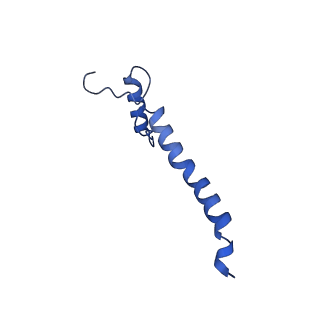 11810_7ak5_a_v1-1
Cryo-EM structure of respiratory complex I in the deactive state from Mus musculus at 3.2 A
